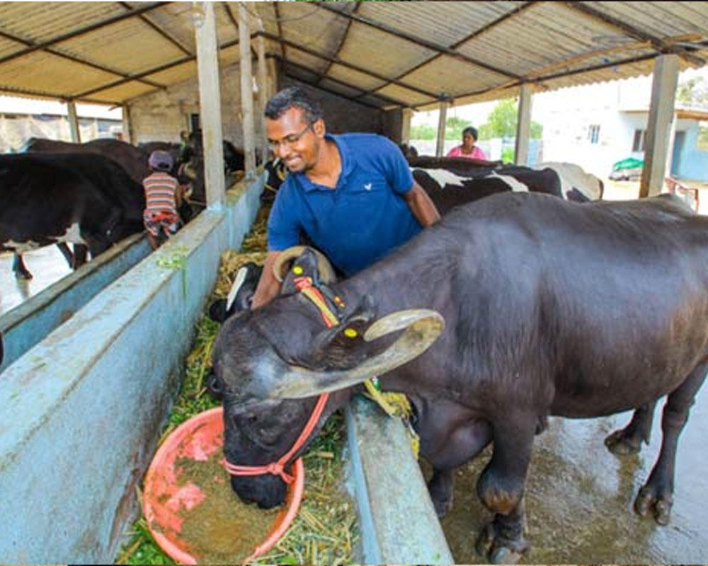 Dairy welfare programmes for farmers